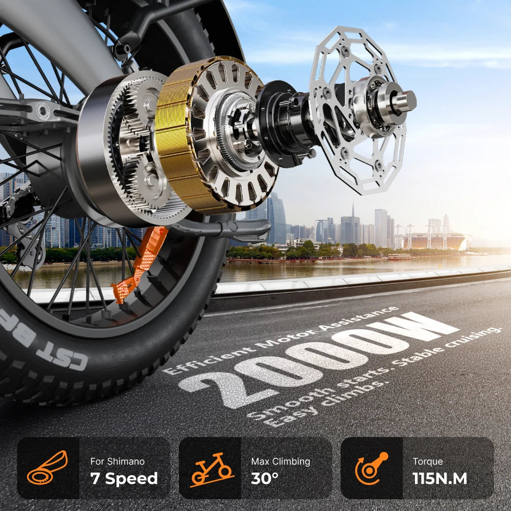 HX Q3 2000W Adult Electric Bike 48V 20Ah E Bike Removable Battery 115Nm Ebike 20*4.0 Inch Fat Tire All-Terrain Electric Bicycle